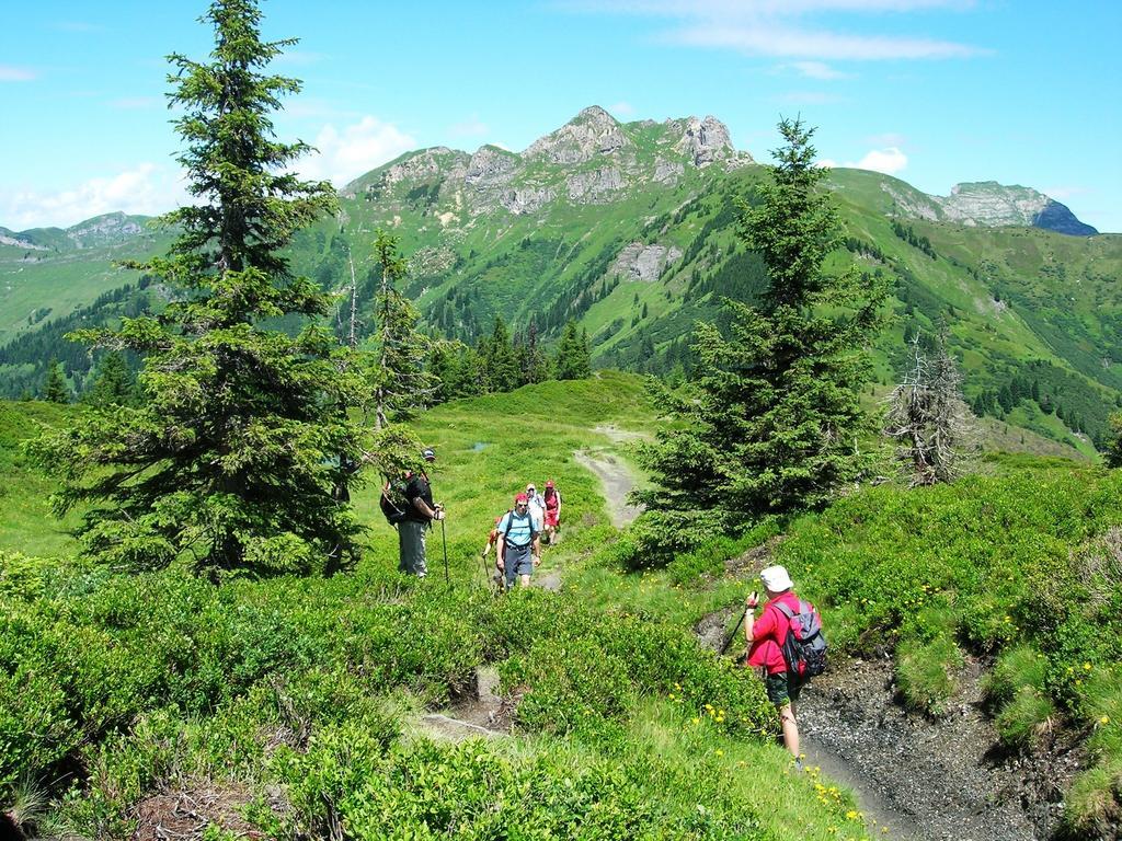 Landhotel Steindlwirt Dorfgastein Εξωτερικό φωτογραφία